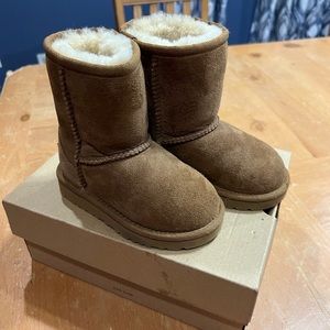 Chestnut Uggs